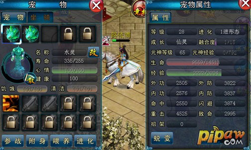 宠物界面